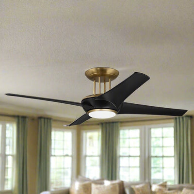 Ceiling Fans