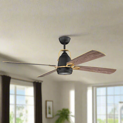 Ceiling Fans Black