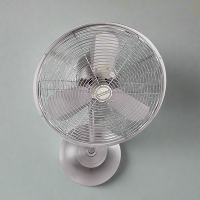 Wall Fan