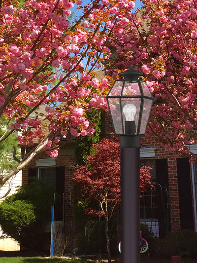 1 Light Black Outdoor Post Top Lantern Post Livex