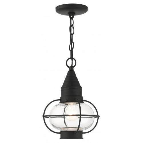 1 Light Black Outdoor Pendant Lantern Exterior Livex