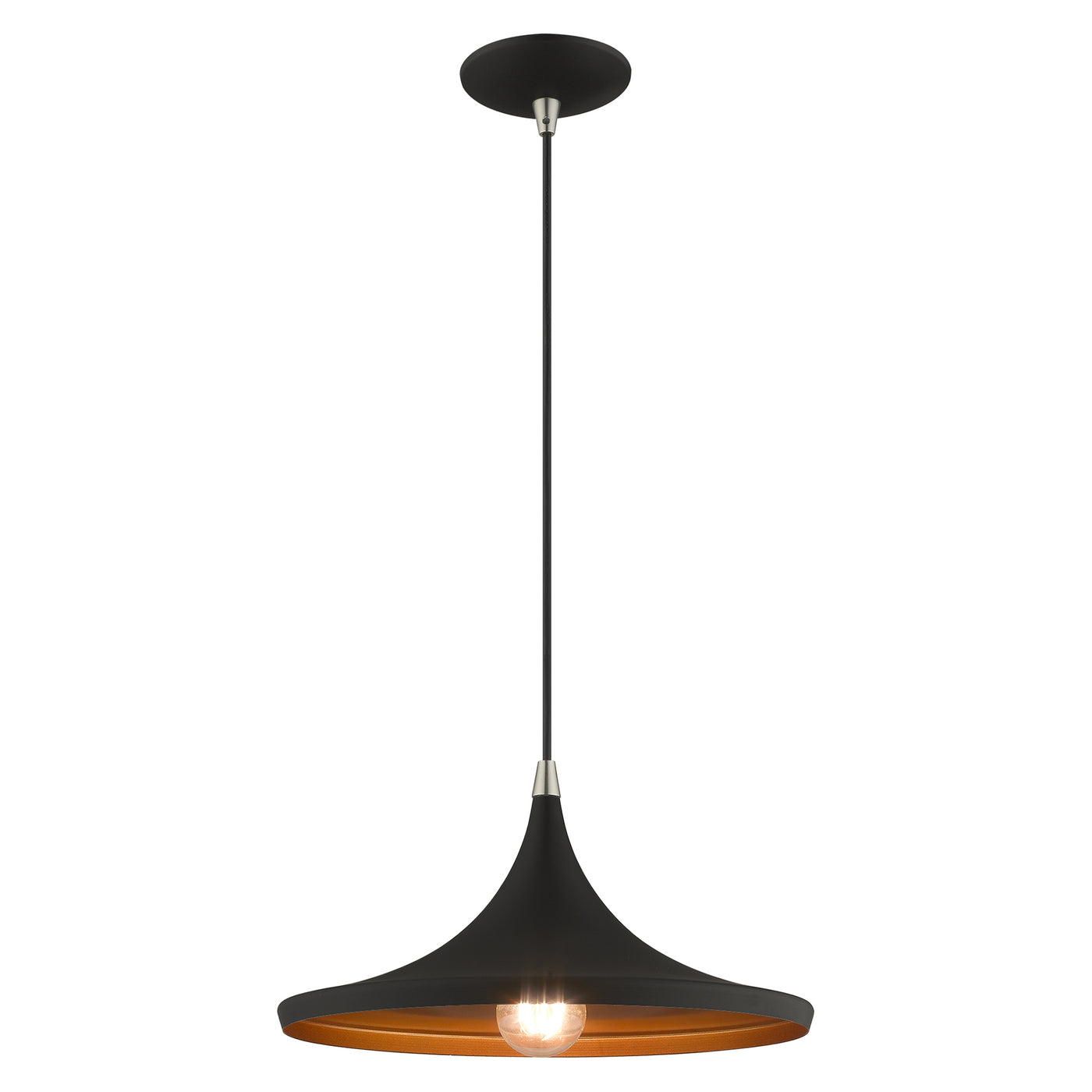 1 Light Black Single Pendant Pendant Livex