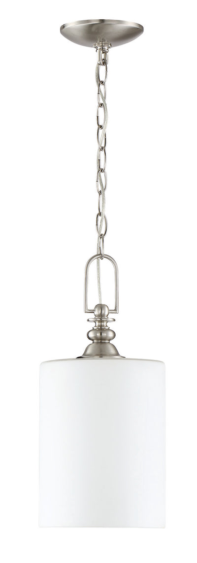 Dardyn 1 Light Mini Pendant in Brushed Polished Nickel Pendant Craftmade