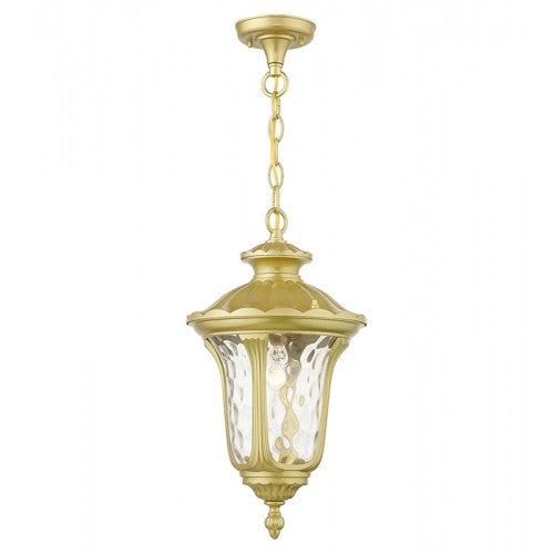 1 Light Soft Gold Outdoor Medium Pendant Lantern Exterior Livex