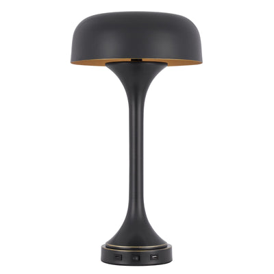 40W x 2 Mushroom cloud metal desk lamp with 1 USB and 1 TYPE C USB charging ports