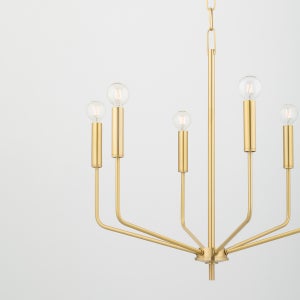 Bailey Chandelier Chandelier Mitzi