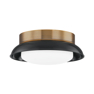 Troy Lighting Arnie Flush Mount