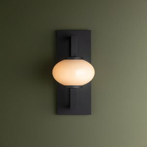 Darwin Wall Sconce Wall Sconce Troy Lighting