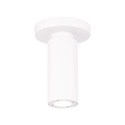 Caliber LED Outdoor Flush Mount Exterior WAC Lighting