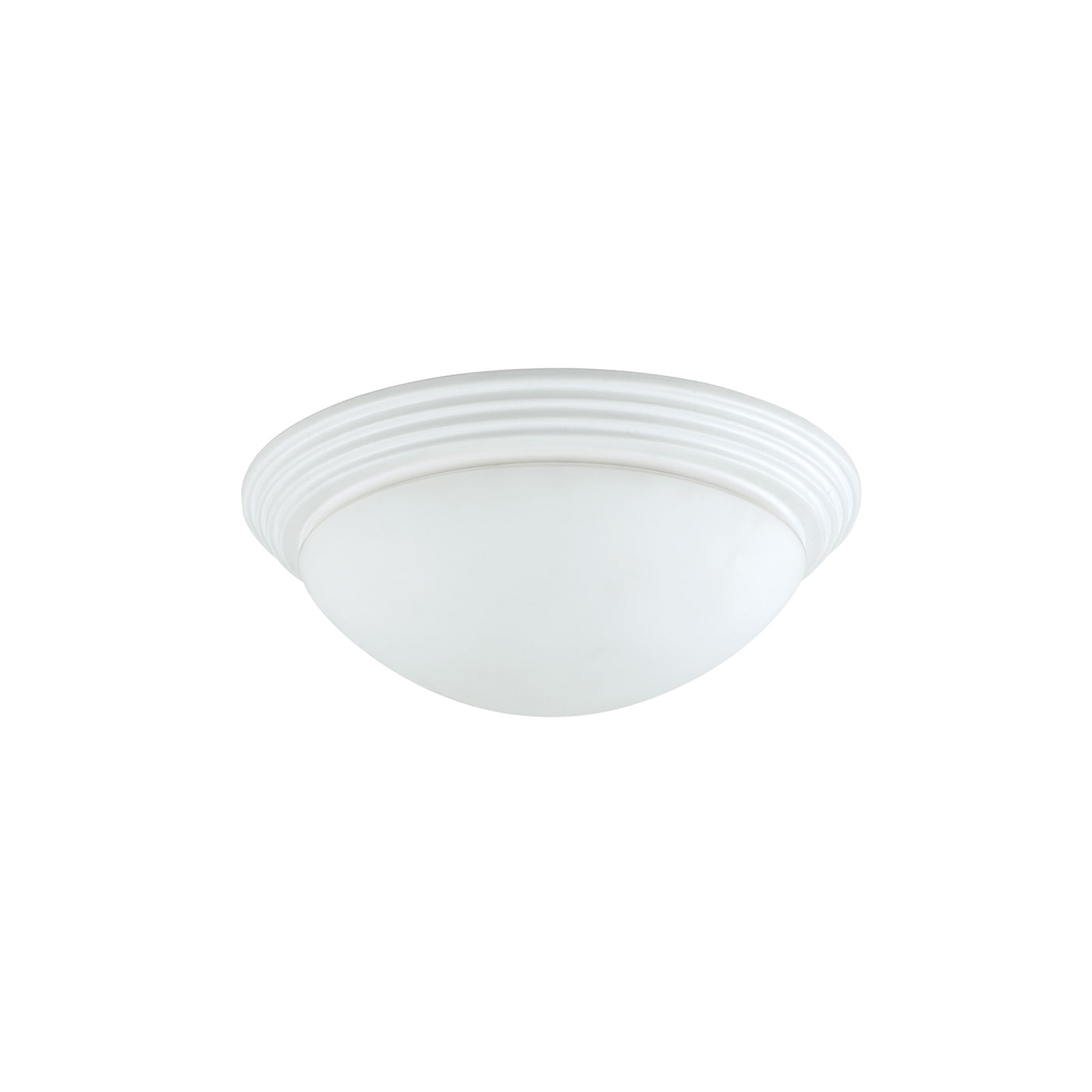 60W X 2 Ceiling Lamp