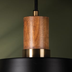 Memphis Pendant Pendant Troy Lighting