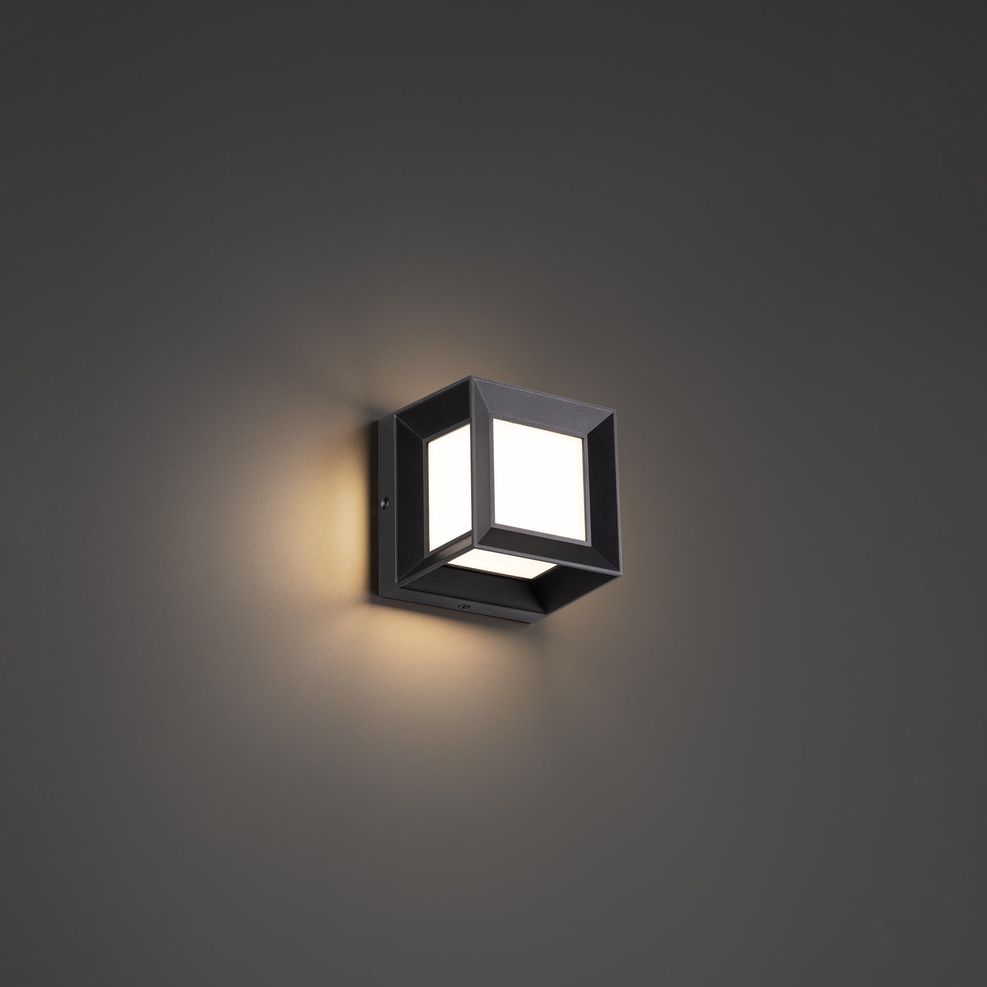 Argo LED Outdoor Wall Light Exterior WAC Lighting