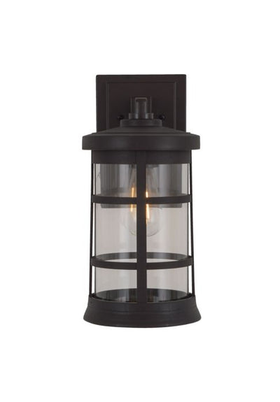 Resilience Large Outdoor Lantern in Bronze, Clear Lens Exterior Craftmade