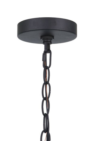 Olsen 1 Light Medium Outdoor Pendant in Midnight Exterior Craftmade